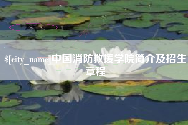 岑溪中国消防救援学院简介及招生章程