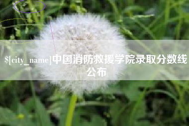 岑溪中国消防救援学院录取分数线公布