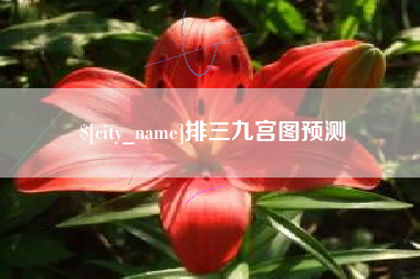 岑溪排三九宫图预测