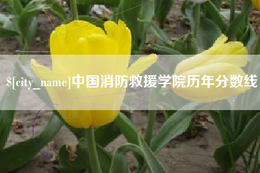 岑溪中国消防救援学院历年分数线