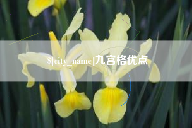 岑溪九宫格优点