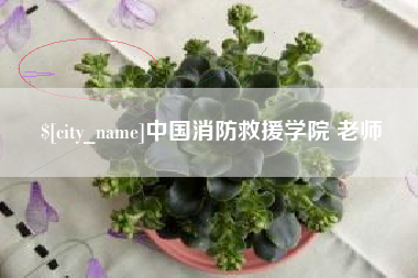 岑溪中国消防救援学院 老师