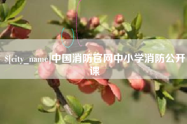 岑溪中国消防官网中小学消防公开课