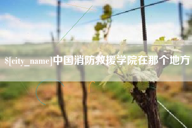 岑溪中国消防救援学院在那个地方