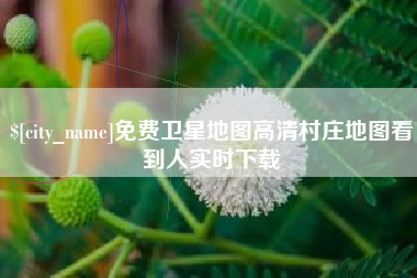岑溪免费卫星地图高清村庄地图看到人实时下载