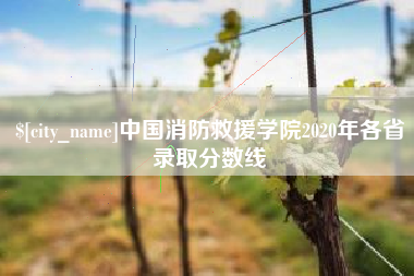 岑溪中国消防救援学院2020年各省录取分数线