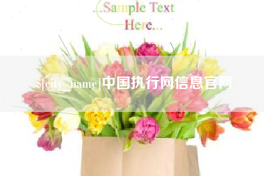 岑溪中国执行网信息官网