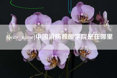 岑溪中国消防救援学院是在哪里