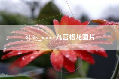 岑溪九宫格龙图片