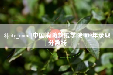 岑溪中国消防救援学院2019年录取分数线