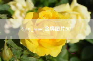 岑溪金牌图片2021