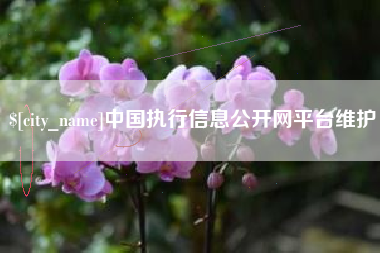 岑溪中国执行信息公开网平台维护