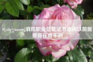 岑溪消防职业技能证书查询以前能查现在查不到
