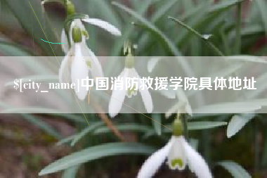 岑溪中国消防救援学院具体地址