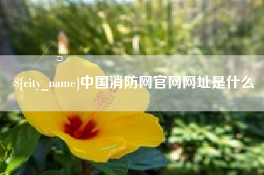 岑溪中国消防网官网网址是什么