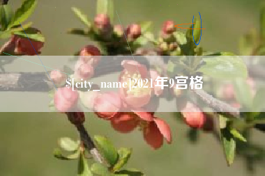 岑溪2021年9宫格