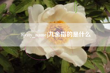 岑溪九金指的是什么