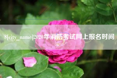 岑溪2020年消防考试网上报名时间