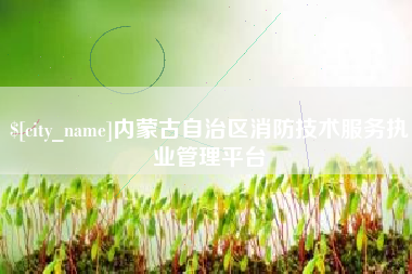 岑溪内蒙古自治区消防技术服务执业管理平台