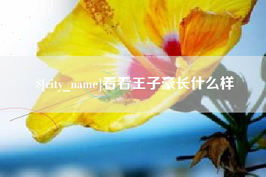 岑溪看看王子豪长什么样