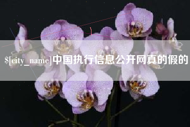 岑溪中国执行信息公开网真的假的