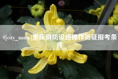 岑溪重庆消防设施操作员证报考条件