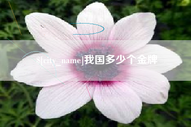 岑溪我国多少个金牌