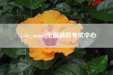 岑溪全国消防考试中心