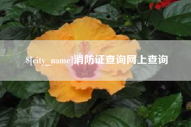 岑溪消防证查询网上查询