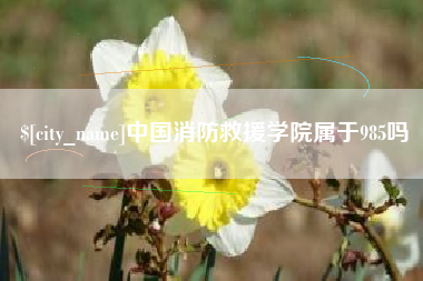岑溪中国消防救援学院属于985吗