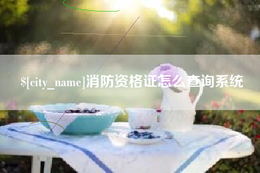 岑溪消防资格证怎么查询系统
