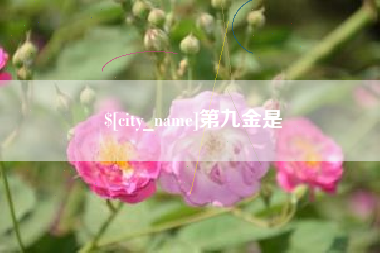 岑溪第九金是