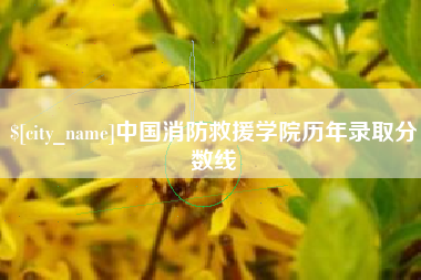 岑溪中国消防救援学院历年录取分数线