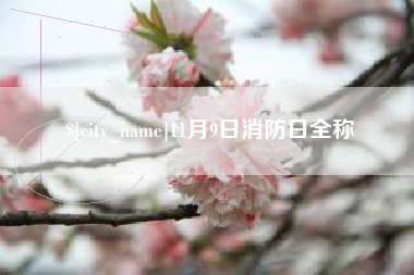 岑溪11月9日消防日全称