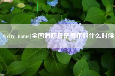 岑溪全国消防日是每年的什么时候