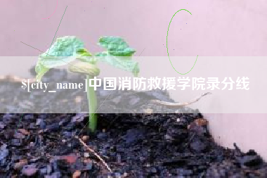 岑溪中国消防救援学院录分线