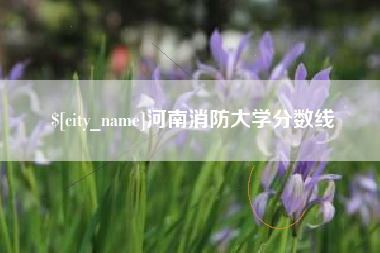 岑溪河南消防大学分数线