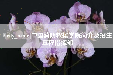 岑溪中国消防救援学院简介及招生章程指挥部