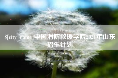 岑溪中国消防救援学院2021年山东招生计划