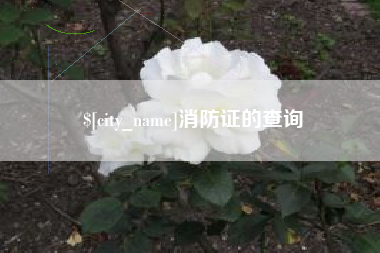 岑溪消防证的查询