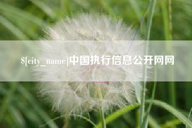 岑溪中国执行信息公开网网