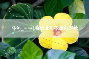 岑溪消防证初级查询系统