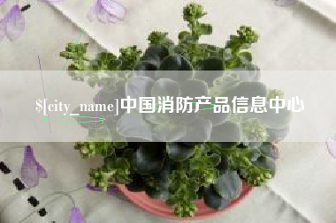 岑溪中国消防产品信息中心