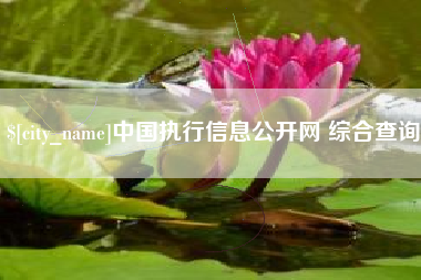 岑溪中国执行信息公开网 综合查询