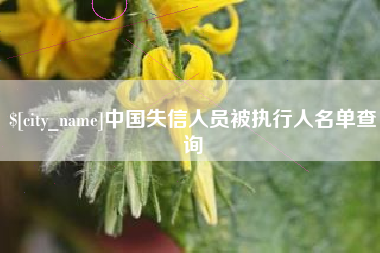 岑溪中国失信人员被执行人名单查询