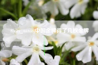 岑溪中国金牌得了几枚金牌