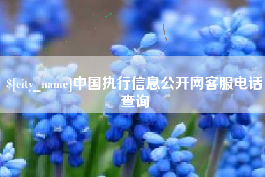岑溪中国执行信息公开网客服电话查询