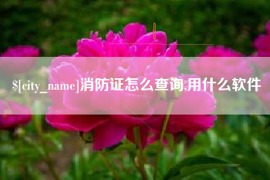 岑溪消防证怎么查询,用什么软件