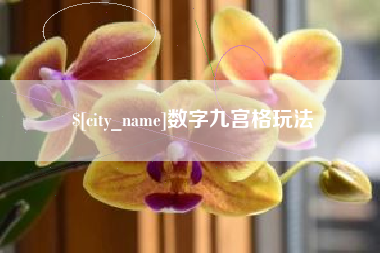 岑溪数字九宫格玩法