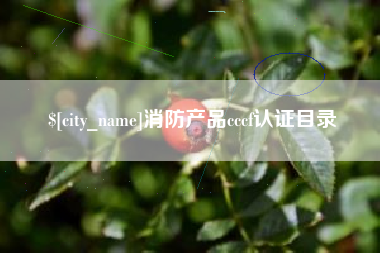 岑溪消防产品cccf认证目录